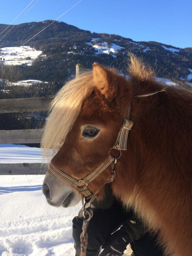 Apartament Apart.Pitztal Arzl im Pitztal Zewnętrze zdjęcie