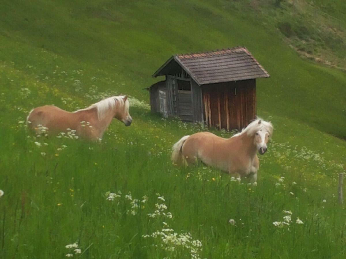 Apartament Apart.Pitztal Arzl im Pitztal Zewnętrze zdjęcie