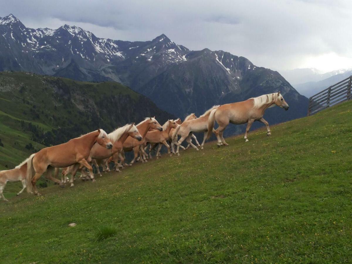 Apart.Pitztal Arzl im Pitztal Zewnętrze zdjęcie