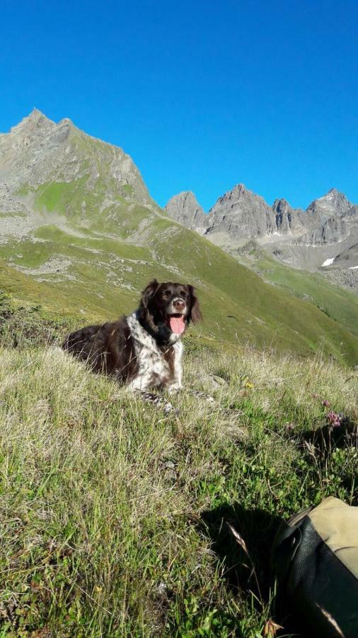 Apartament Apart.Pitztal Arzl im Pitztal Zewnętrze zdjęcie